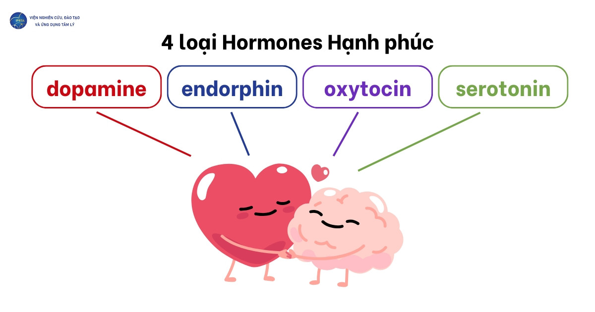 Endorphin là một trong bốn hormone thuộc nhóm “hạnh phúc”